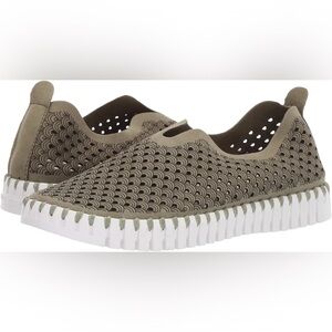 Isle Jacobson Size 38